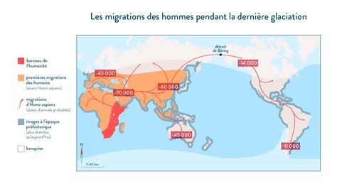 Les Migrations Et Le Mode De Vie Des Premiers Hommes Cours 6e