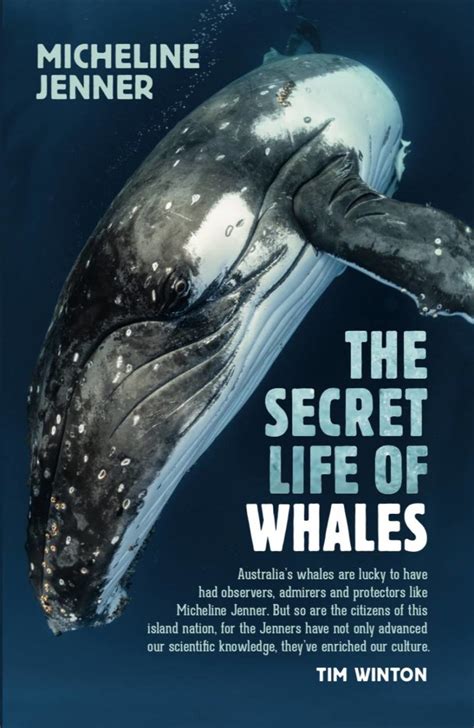 The Secret Life Of Whales By Micheline Jenner Centre For Whale Research