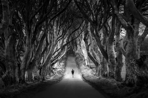 15 Amazing Black And White Landscape Photos That Will Leave You In Awe Photzy