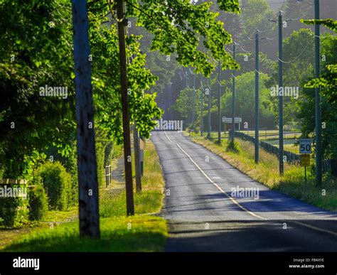 Country Road On Vancouver Island Stock Photo Alamy