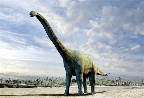 Weitere ideen zu malvorlage dinosaurier, dinosaurier, ausmalbilder. Große Echse Mit Stacheln: Neuer Dinosaurier Präsentiert ...