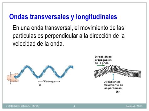 LO QUE LA CIENCIA ESCONDE : ondas transversales y longitudinales