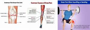 Knee Area Chart