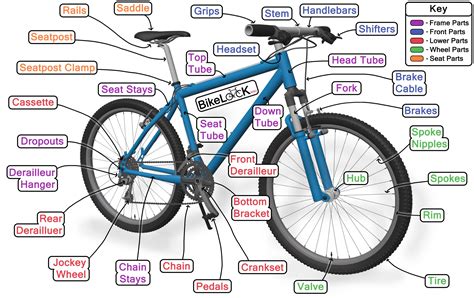 Parts Of A Bike Diagram The Bicycle Anatomy Guide For All