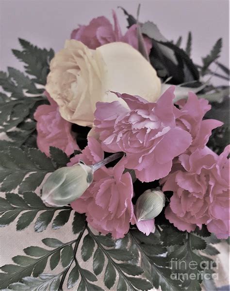 Carnations And A Rose Photograph By Suzanne Wilkinson Fine Art America