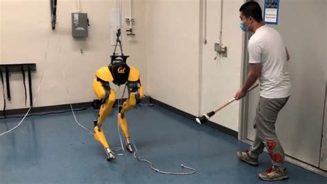 This Robot Taught Itself To Walk In A Simulation—then Went For A Stroll
