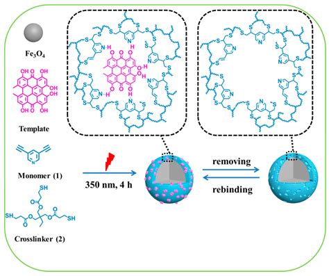 Polymers Free Full Text Fabrication Of Core Shell Magnetic