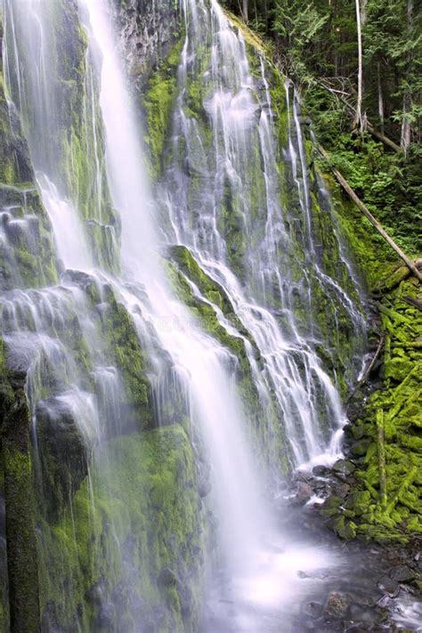 Oregon Water Fall Stock Photo Image Of Natural Beauty 10825672