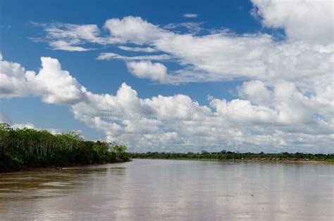 Amazon River Landscape In Brazil Stock Image Image Of Landscape