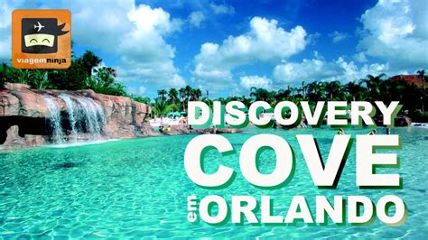 Discovery Cove Orlando Viagem Ninja Dicas De Viagem E Passagens