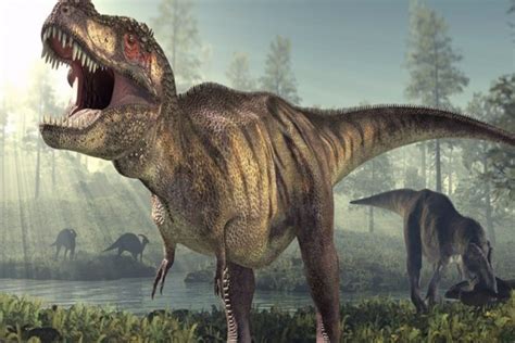 10 Most Interesting Information About Dinosaurs