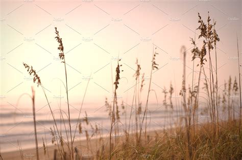 Beach Grass And Sunset Nature Stock Photos Creative Market