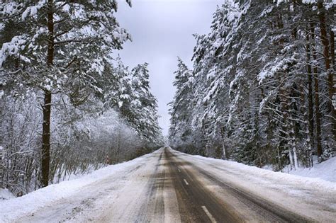 Highway Through The Forest Winter Road Spruce Forest Winter Cold