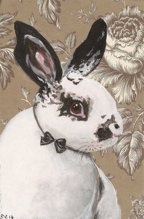 Funny Bunnies Cute Bunny Illustrations Illustration Art Lapin Art