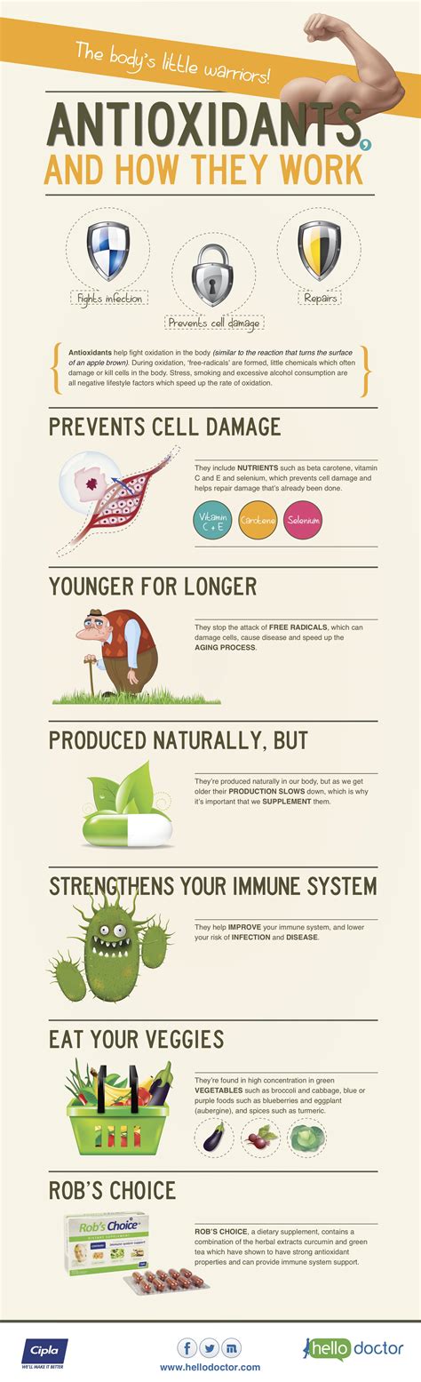 pin by hello doctor on health infographics infographic health antioxidants infographic