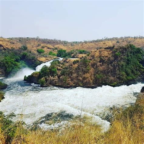 Murchison Falls National Park Uganda Ugandas Largest Conservation Area