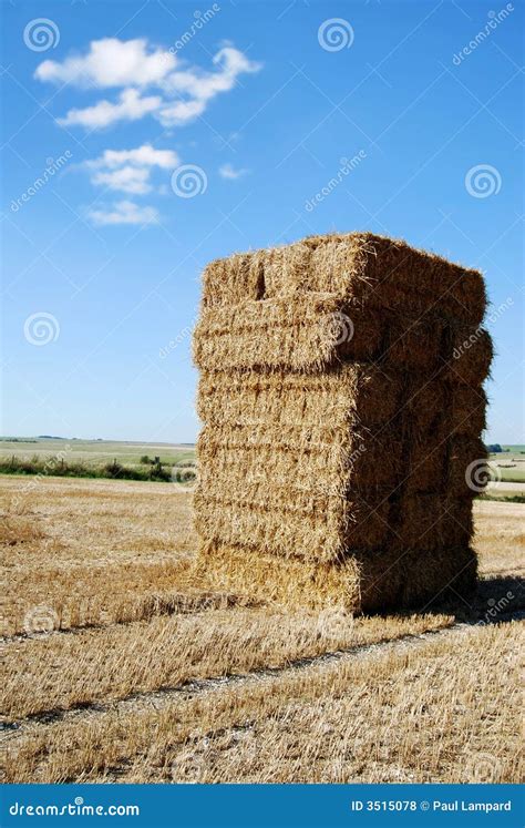Towering Haystack Stock Photo Image Of Colour Heap Crop 3515078