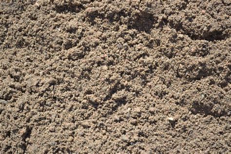 The incredible spectacle, which looks like moving sand, is actually comprised of several. River Sand