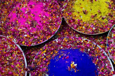 Widows Celebrate Holi Festival In India Photos Image 61 Abc News