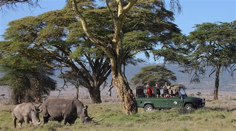 Wild Places Safaris Kenya
