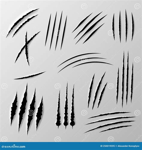 Black Claws Scratches Different Shape Collection Realistic Vector