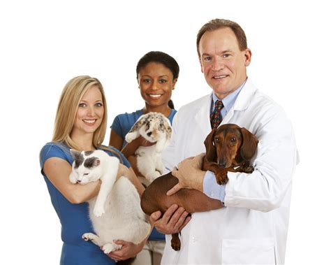 Whether you're a veterinary professional looking for a career path, a pet owner looking for a great local vet, or a veterinary practice owner looking for a partner, discover what petvet care centers has to offer. Give Your Pet The Best Vet Care | Destination KSA