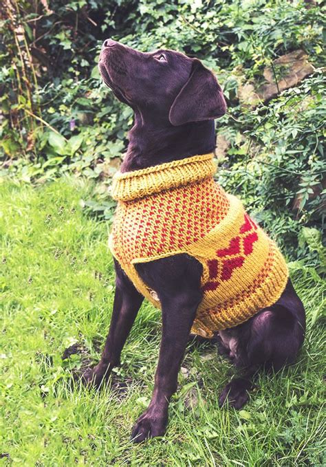 Knitting Patterns For Dogs Jumpers Mikes Naturaleza