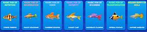 Magical Fish Fish Tycoon 2 Virtual Aquarium Wiki Fandom Powered By
