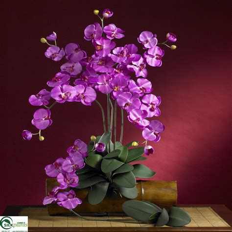 Silk Plants Direct Phalaenopsis Silk Orchid Flower Orchid Pack Of