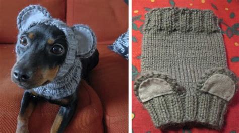 Knitted Dog Hats With Ears Easy Free Patterns