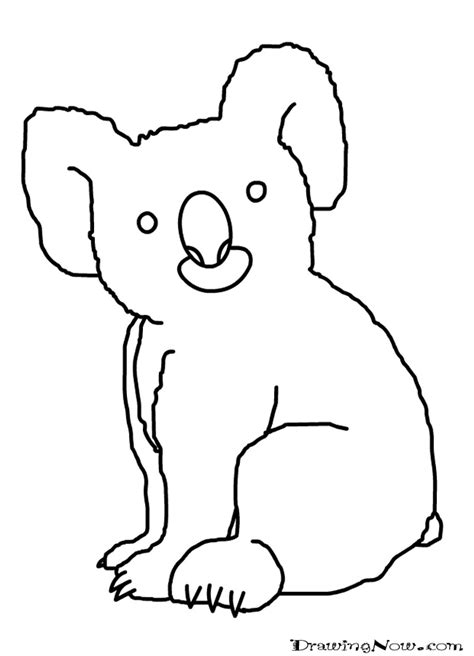 How To Draw Koala Bears Drawing Tutorials And Drawing And How To Draw