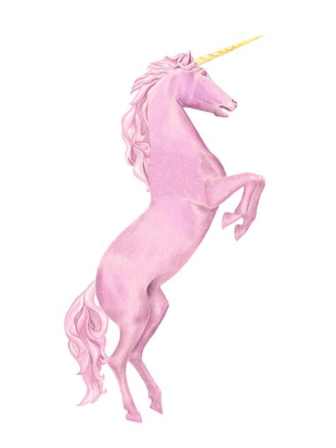 Standing Unicorn Digital Art By Elizabeth Lock