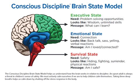 Conscious Discipline The Three Brain States Carmel Mountain Preschool