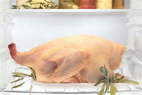 How To Refrigerate Fresh Raw Chicken Gigg S Meat