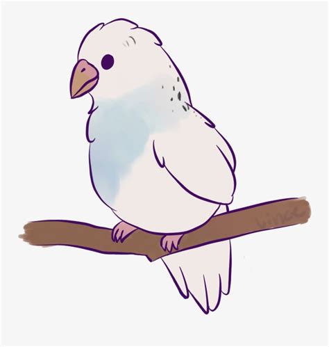 Clipart Freeuse Birb Drawing Birb Drawing Free Transparent Png