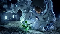 What Plants Grow In Space – Information About Horticulture In Space