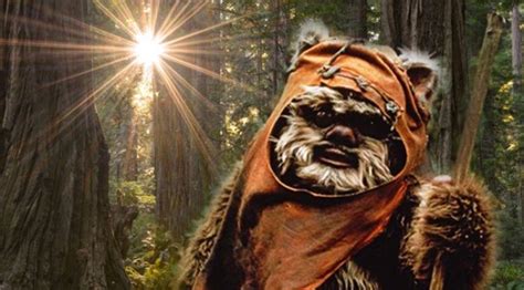 A Novel Reveals Ewoks Are The Therapy Animals Of Star Wars