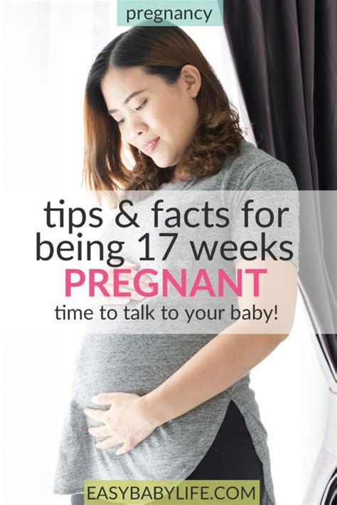 17 Weeks Pregnant Baby Fits The Palm Of Your Hand