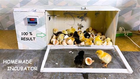 Homemade Incubator Review With 100 Chicks Hatching Result Homemade Incubator Youtube