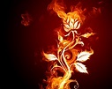 La Llama De La Vida - La llama de la vida - Wattpad