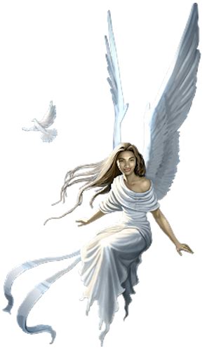 Angel Png Angel Png You Can Download 33 Free Angel Png Images All