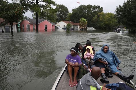 How The Chaos Of Hurricane Katrina Helped Save Pets From Flooding In