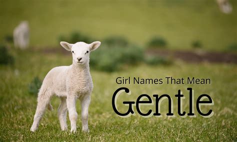 girl names that mean gentle momswhothink com my xxx hot girl