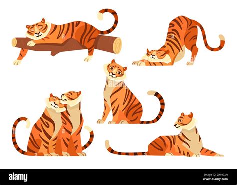 Cute Tigers In Different Poses Cartoon Illustration Set African Tiger