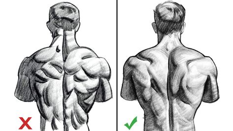 How To Draw Muscles Archives How To Draw