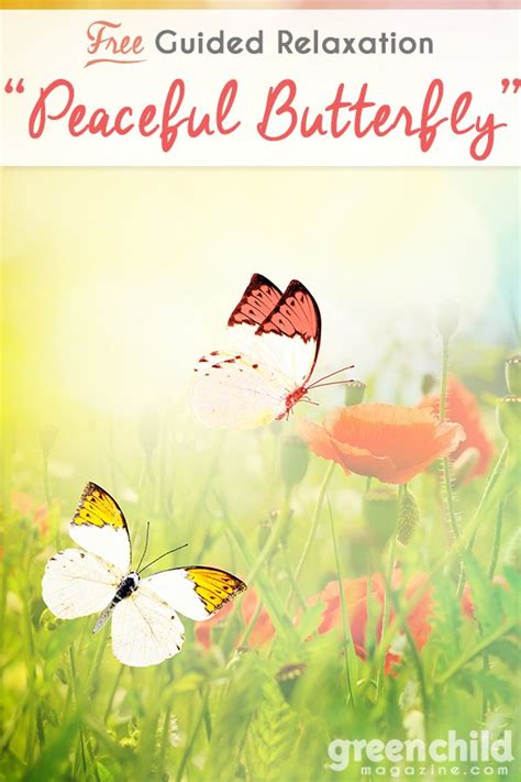 Guided Relaxation Peaceful Butterfly Meditation ⁠— Green Child Magazine
