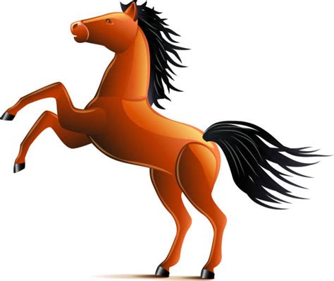 Best Rearing Horse Illustrations Royalty Free Vector Graphics And Clip