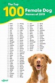 Most Popular Dog Names in the USA | Female dog names, Cute names for ...