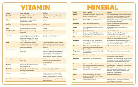 Vitamin And Mineral Chart 10 Free Pdf Printables Printablee