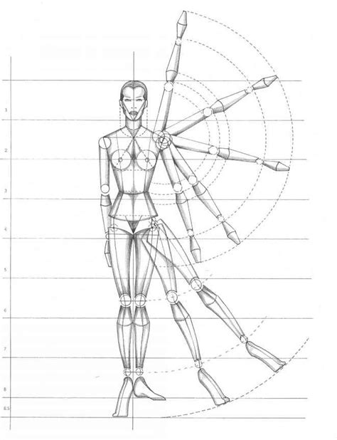 Human Proportion For Figure Drawing Figure Drawing Martel Fashion
